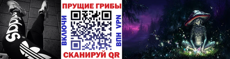 Псилоцибиновые грибы мухоморы  Калининец 